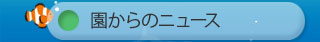 園からのニュース